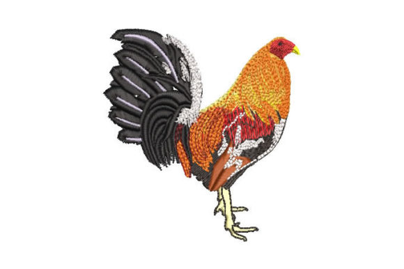 Colorful Rooster: A Designer’s Review for Apparel