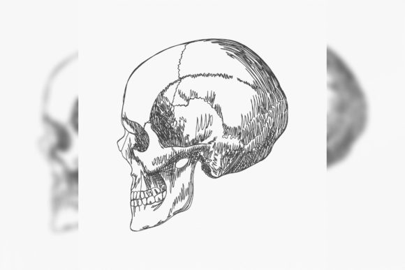 Cranium One Line: A Designer’s Honest Review